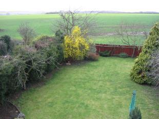 2nd view of garden