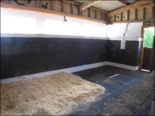 Foaling Box