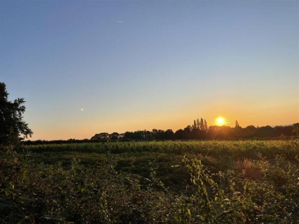 IMG_5307 - 7 Diamond Field.jpeg