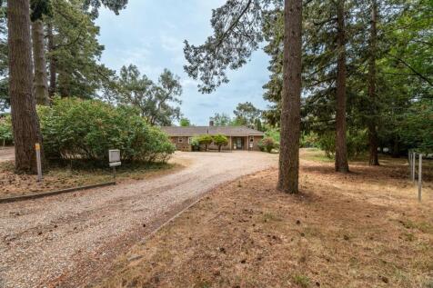 Aleutia Gardens, Thetford