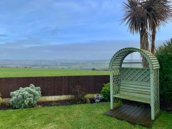 Back Garden