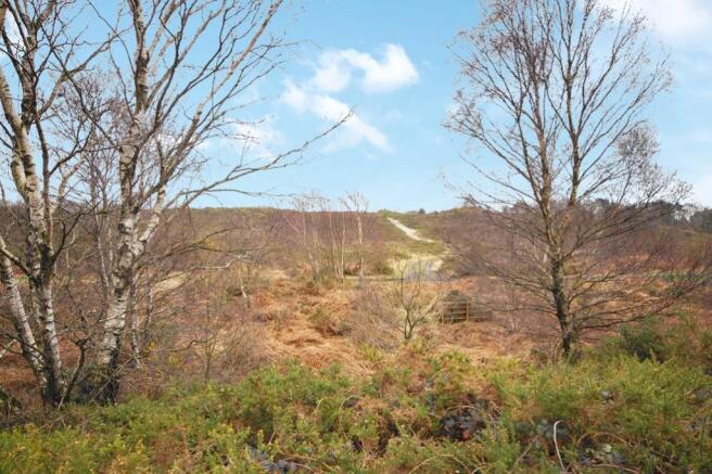 Protected Heathland