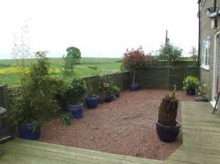 Garden & view