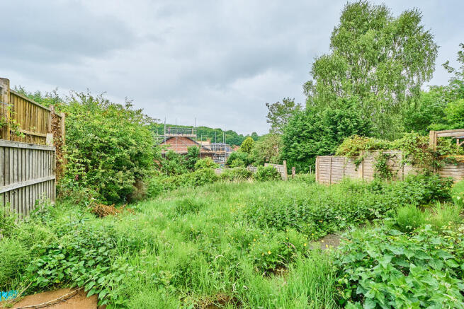 P1461886 T202505281845.jpg