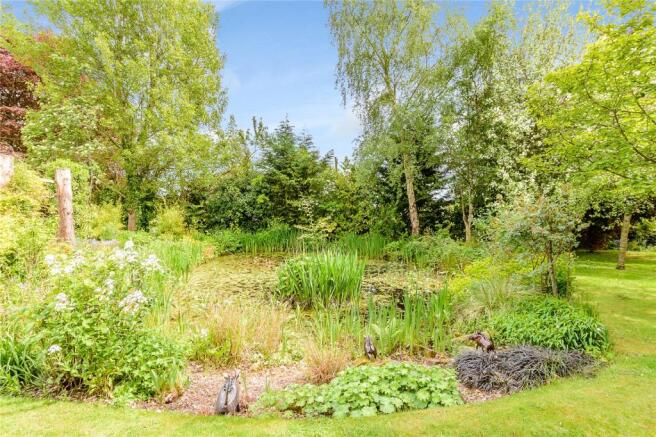 Pond