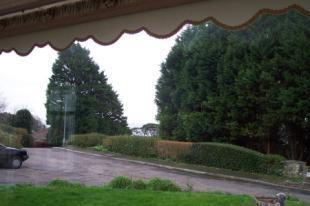 Picture No.11