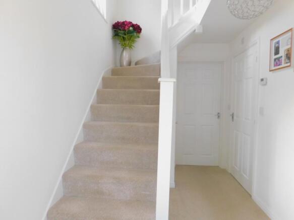 28 buttercup close (18)