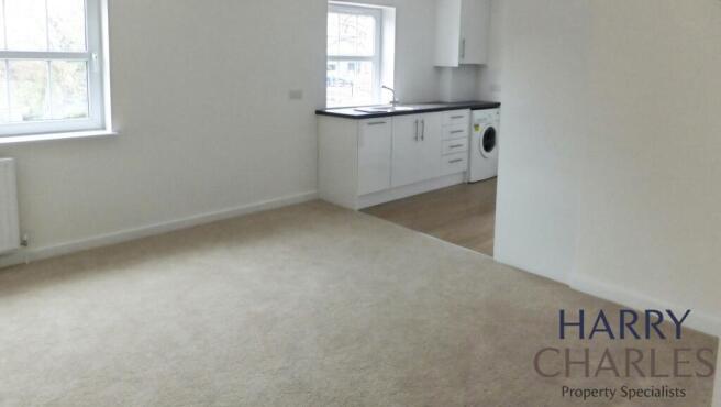 Living room & kitchen