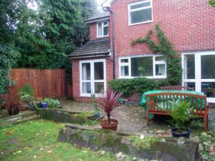 Garden4