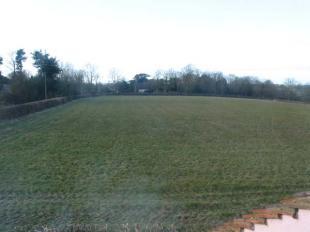 View of meadow
