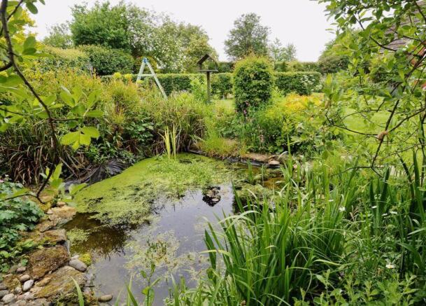 Garden pond