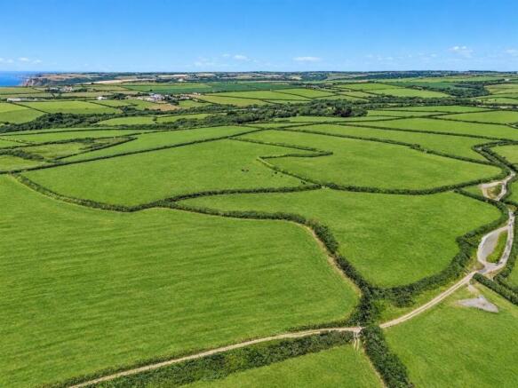 Grass / Arable Land