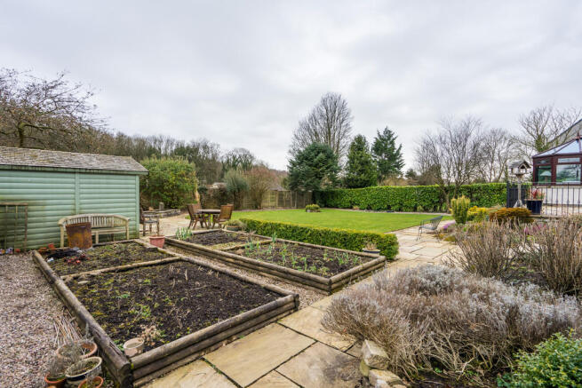 Raised Beds