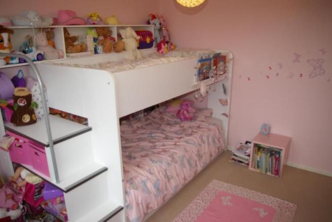 IMGP7311.JPG