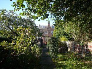 View back to house