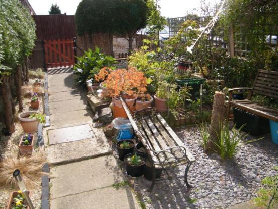 Front Garden