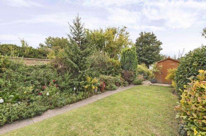 Garden at Back