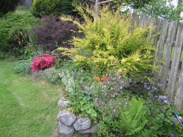 Photo 20