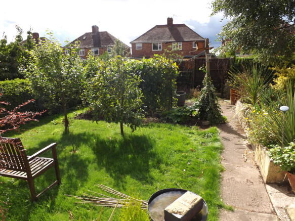 Photo 12