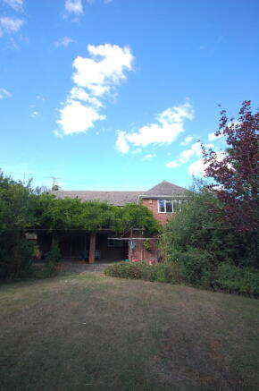 Rear Aspect