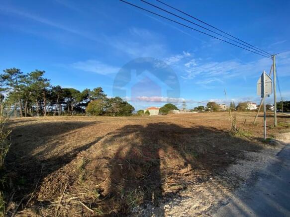 Plot in Obidos Lagoon