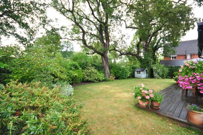Rear Garden (Original)