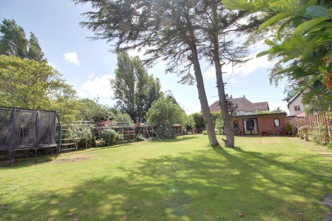 Garden at Back
