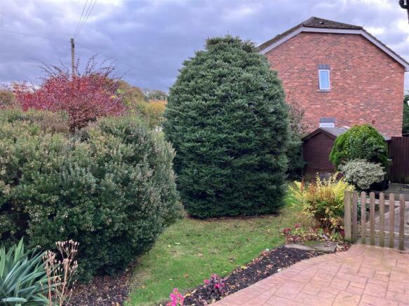 new garden.jpg