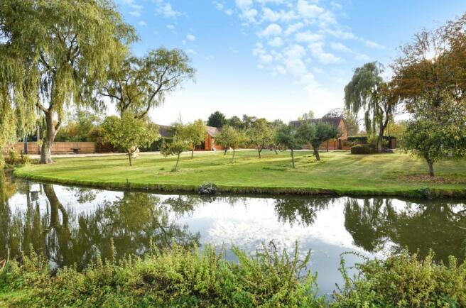 Pond