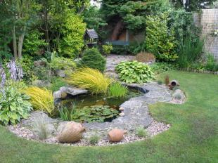 Pond & Rockery