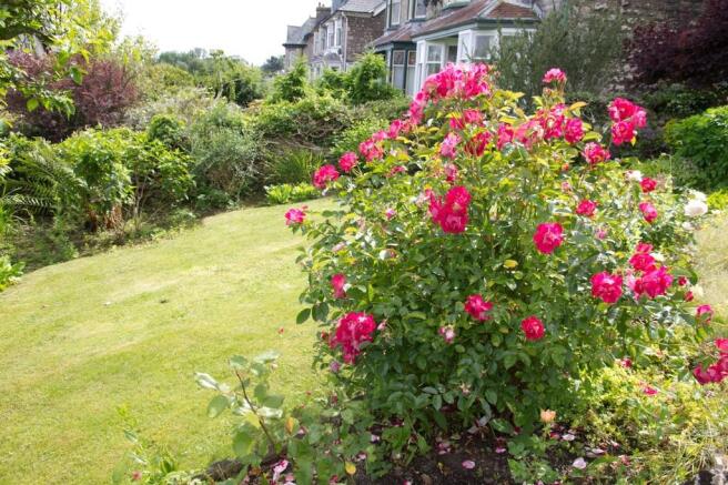 Front Garden