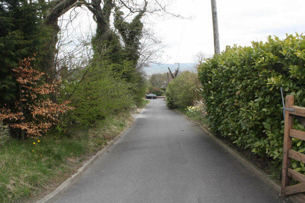 Photo 40