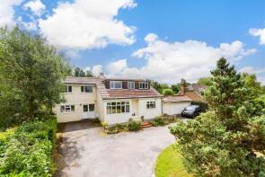 Boxhill Kennels And Cattery, Boxhill Road, Tadworth KT20 7JF