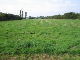 Grazing Land