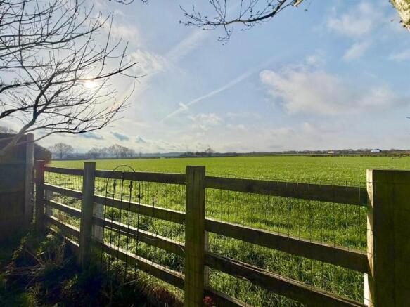 WhatsApp Image 2026-02-25 at 10.50.14 (4).jpeg