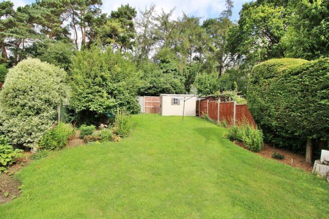 Garden New 2.JPG