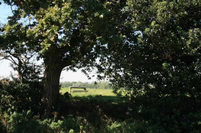 Farmland Views