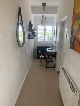 Study Area