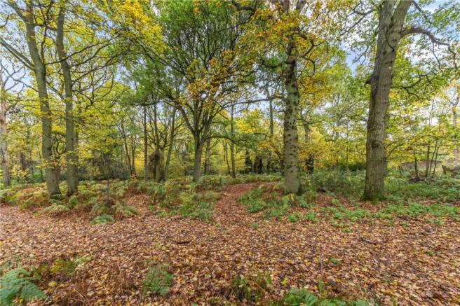 Private Wood