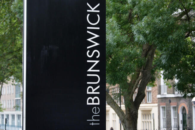Tavistock Bow Blo...