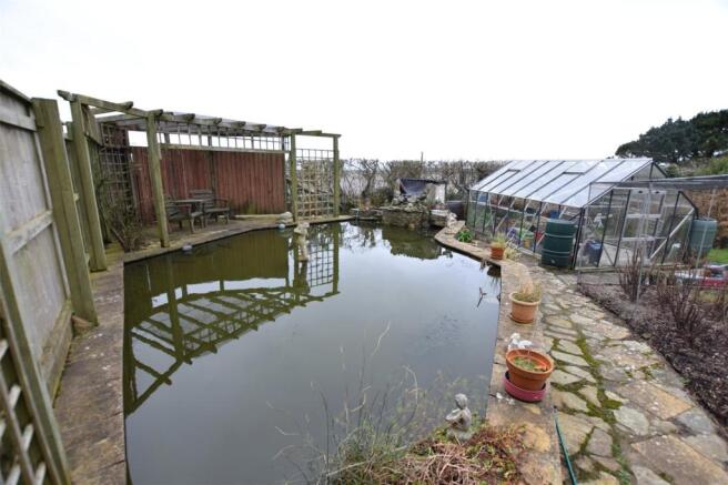 Pond