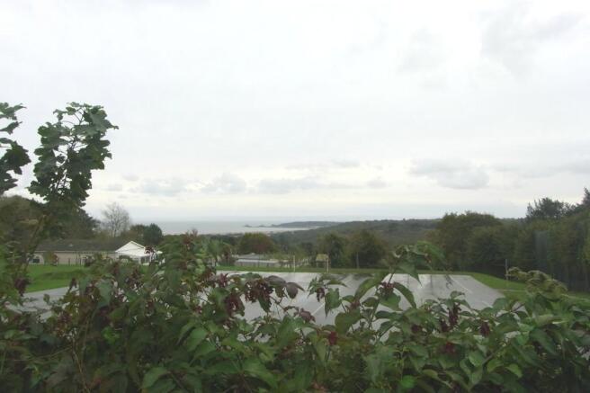 View from sun porch