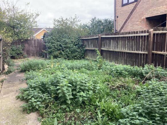 garden.jpg