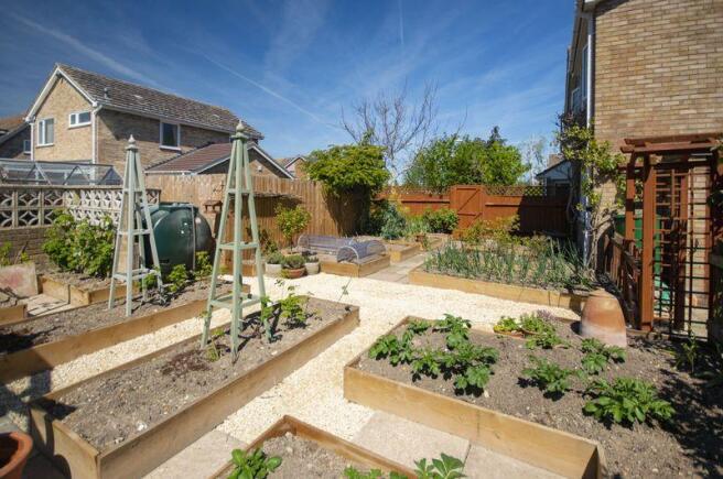 Vegetable Garden