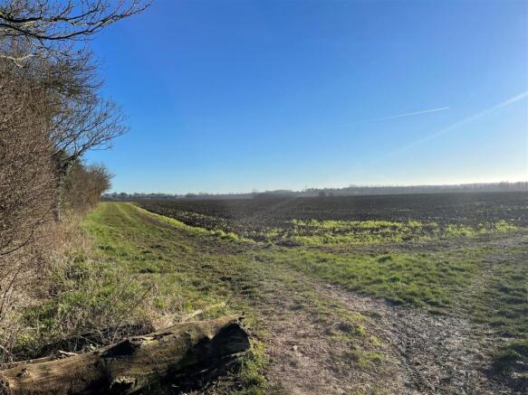 Nearby Fields