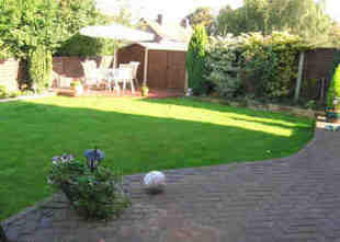 Picture 7