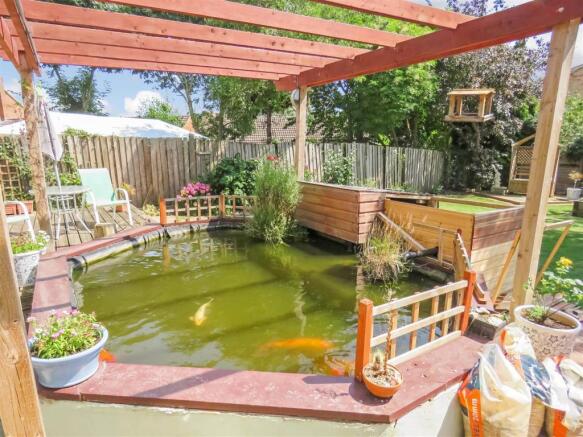 Pond.JPG
