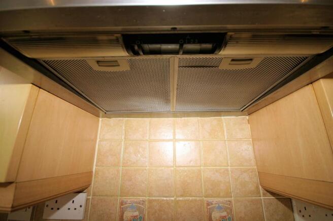 View of Extractor