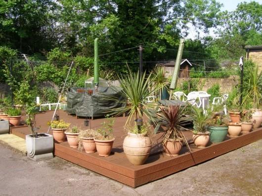 Shared Patio Garden