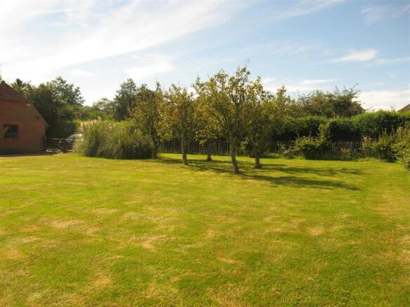 New Rear Garden 7